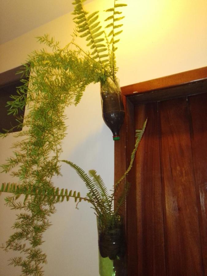 Guest house Ebora Restaurante Petiscaria Disco Club *